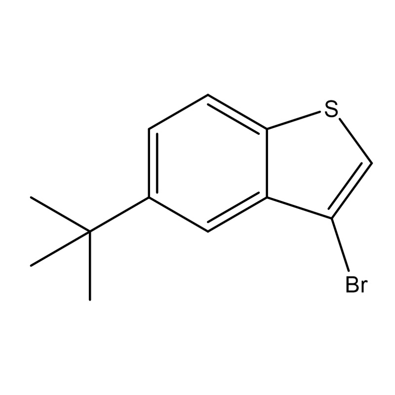 3-brom-5-(tert-butyl)benso[b]tiofen