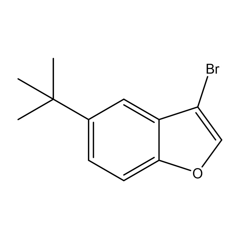 3-brom-5-tert-butylbensofuran