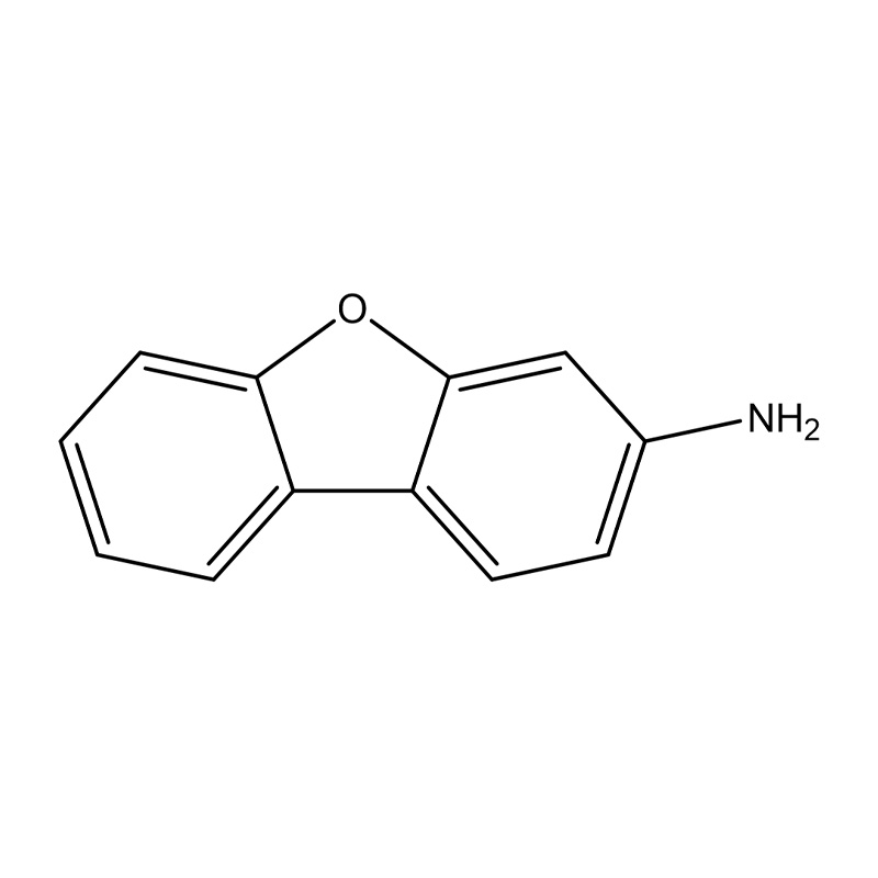 3-aminodibensofuran